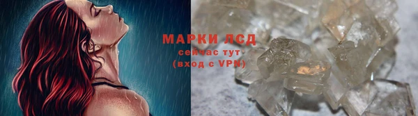стаф Арсеньев