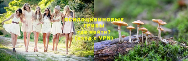 метадон Алексеевка