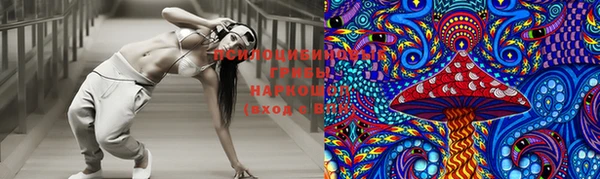 бошки Алексин