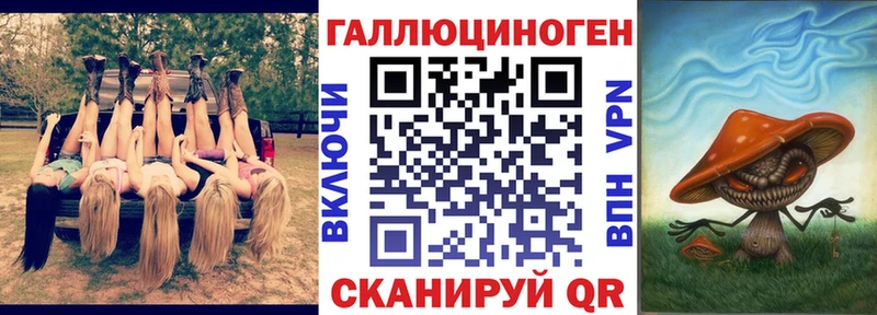Псилоцибиновые грибы Cubensis  Хадыженск 
